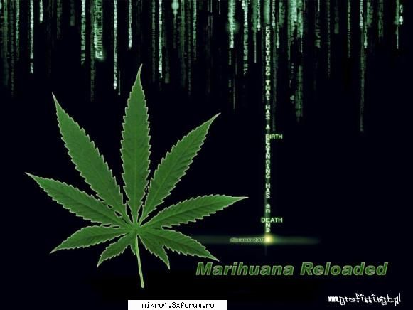 nu calcati  :d poze ciudate